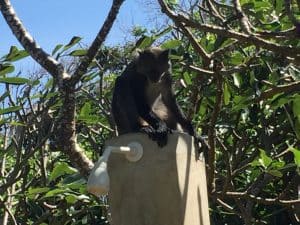 IMG_5715 copia